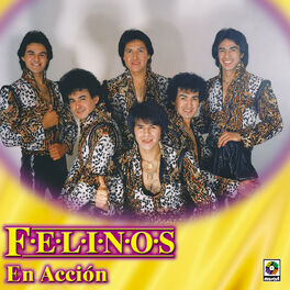 Los Felinos: música, canciones, letras | Escúchalas en Deezer