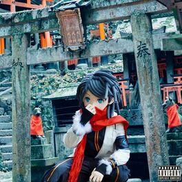 Album cover of Digital Shrine 2.0