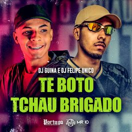 Album cover of Te Boto Tchau Brigado