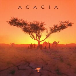 Album cover of Distance