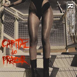 Album cover of Capital do Prazer