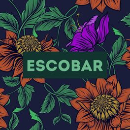 Album cover of Escobar (feat. Hakan Keleş)