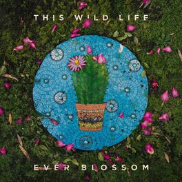Album cover of Ever Blossom