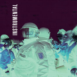 Album cover of V (Instrumental)