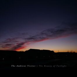 Album picture of The Beauty of Twilight