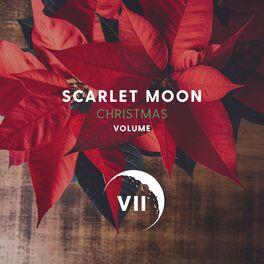 Album cover of Scarlet Moon Christmas Volume VII