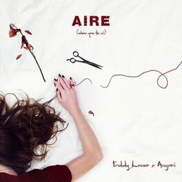 Album cover of Aire