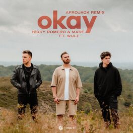 Album cover of Okay (Afrojack Remix)