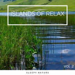 Album cover of 2022 Islands of Relax vol. 2
