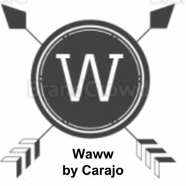Album cover of Waww