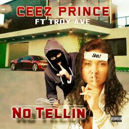 Album cover of No Tellin' (feat. Troy Ave)