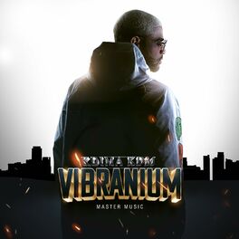 Album cover of Vibranium