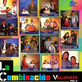 Album cover of La Combinacion Vallenata Vol. 2