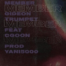 Album cover of Member