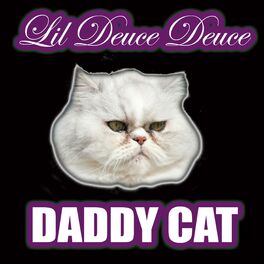 Album cover of Daddy Cat
