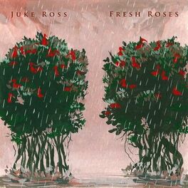 Album cover of Fresh Roses
