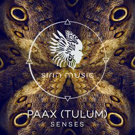 Album cover of Senses