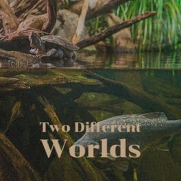 Album cover of Two Different Worlds