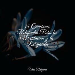 Album cover of 35 Canciones Relajantes Para la Meditación y la Relajación