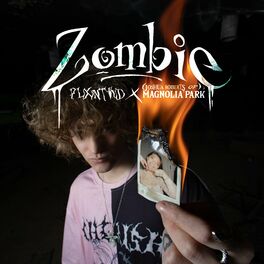 Album cover of zombie