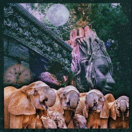 Album cover of Probiscidea