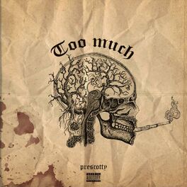 Album cover of Too Much (feat. YNG Martyr)