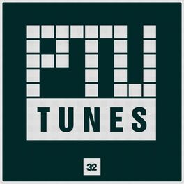 Album cover of Ptu Tunes, Vol. 32