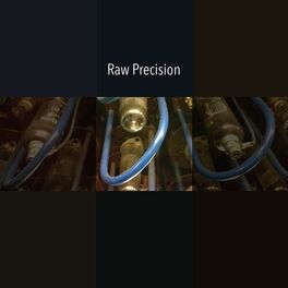 Album cover of Raw Precision 17