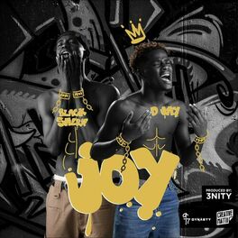Album cover of Joy (feat. Black Sherif)