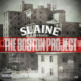 Album cover of The Boston Project