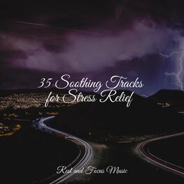 Album cover of 35 Soothing Tracks for Stress Relief