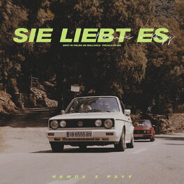 Album cover of Sie liebt es