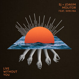 Album cover of Live Without You