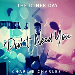 Album cover of Don't Need You (feat. Charlie Charles)