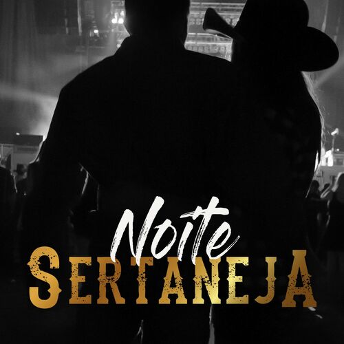 Milionário & José Rico - Sozinho na estrada: listen with lyrics