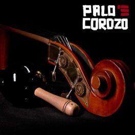 Album cover of La Cumbia Está Herida