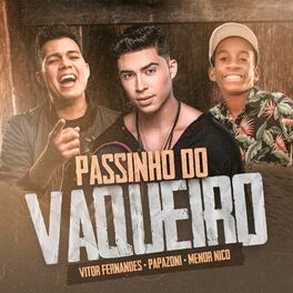 Album cover of Passinho do Vaqueiro