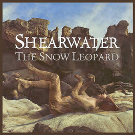 Album cover of The Snow Leopard