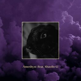 Album cover of Amethyst