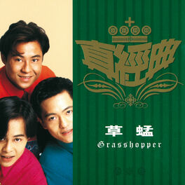 Album cover of Zhen Jin Dian - Grasshopper