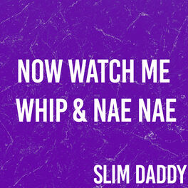 Now watch me on sale whip mp3 download