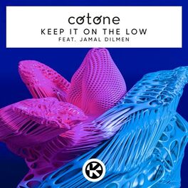 Album cover of Keep It on the Low