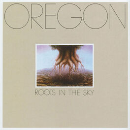 Album cover of Roots In The Sky