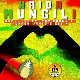 Album cover of Haida Mungili