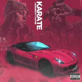 Album cover of Karate