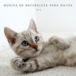 Album cover of Música De Naturaleza Para Gatos Vol. 2