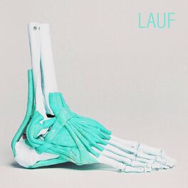 Album cover of Lauf