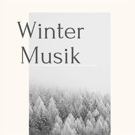 Album cover of Winter Musik