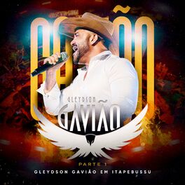 Album cover of Gleydson Gavião em Itapebussu - Parte 1 (Ao Vivo)