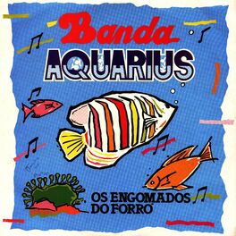 Album cover of Os Engomados do Forró